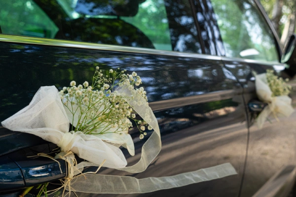 Wedding Transfer